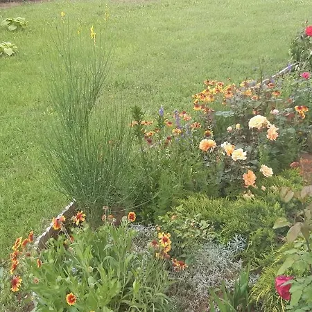 アパート Robert Apartmant