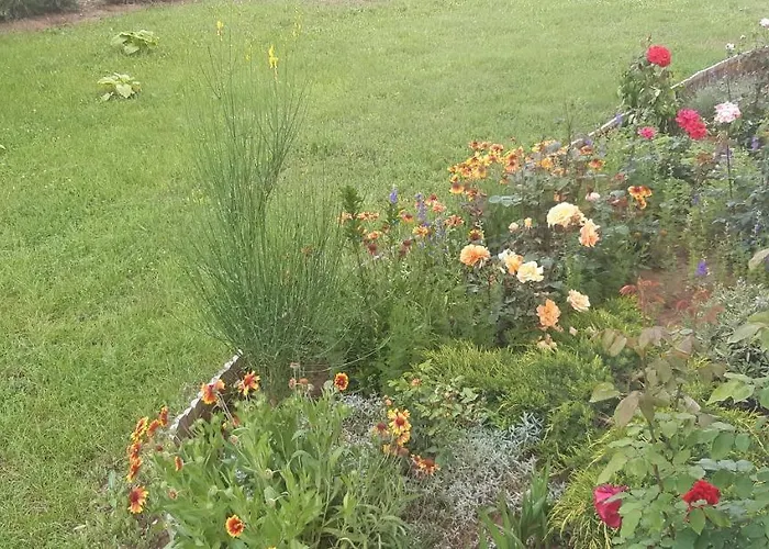 Apartament Robert Apartmant